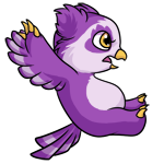 Purple Vandagyre