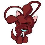 Red Aisha