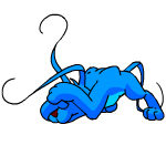 Blue Gelert