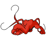 Red Gelert