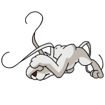 White Gelert