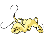 Yellow Gelert