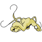 Yellow Gelert