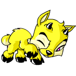 Yellow Ixi