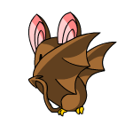 Brown Korbat