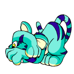 Blue Kougra