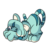 Blue Kougra