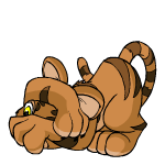 Brown Kougra