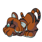 Brown Kougra