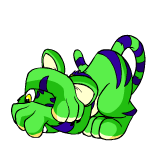 Green Kougra