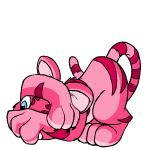 Pink Kougra