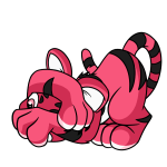 Pink Kougra