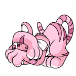 Pink Kougra