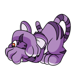 Purple Kougra