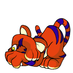 Red Kougra