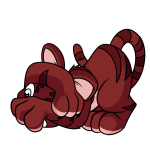 Red Kougra