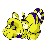 Yellow Kougra