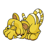 Yellow Kougra