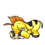 Yellow Moehog