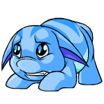 Blue Poogle