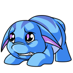 Blue Poogle