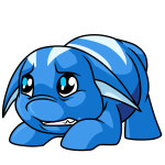 Blue Poogle