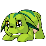 Green Poogle