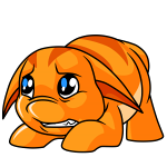 Orange Poogle