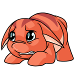 Orange Poogle