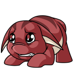 Red Poogle