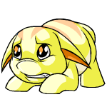 Yellow Poogle