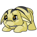 Yellow Poogle