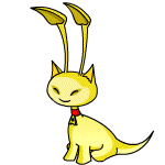 Yellow Aisha