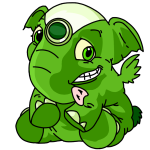 Green Elephante