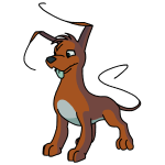 Brown Gelert