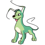 Honeydew Green Gelert