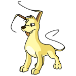 Banana Yellow Gelert