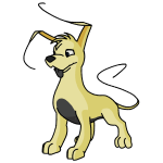 Yellow Gelert