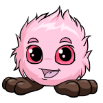 Pink Jubjub - (Sakura) Pink Jubjub - (Sakura)