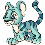 Blue Kougra