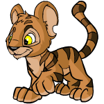 Brown Kougra