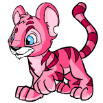 Pink Kougra