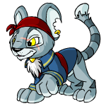 Pirate Kougra