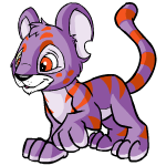 Purple Kougra