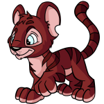 Red Kougra