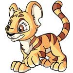 Cantaloupe Yellow Kougra