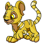 Yellow Kougra