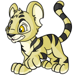 Yellow Kougra