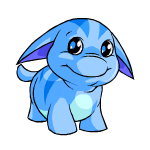 Blue Poogle