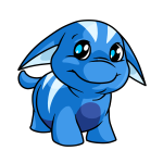 Blue Poogle